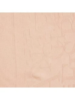 Elisabetta Franchi Γυναίκες Φουλάρια Φουλάρι SC-01F-26E2-V120 Ροζ 8 Elisabetta Franchi Γυναίκες Φουλάρια Φουλάρι SC-01F-26E2-V120 Ροζ -Elisabetta Franchi Εκπτώσεις unnamed file 1594